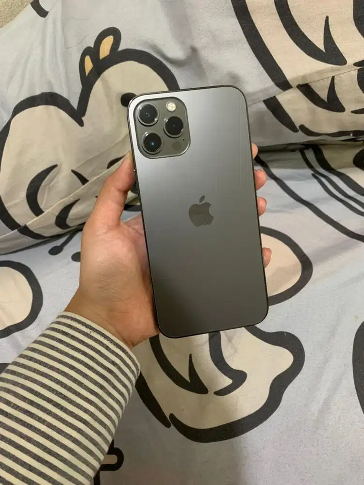 iphone 12 promax 128gb ex inter