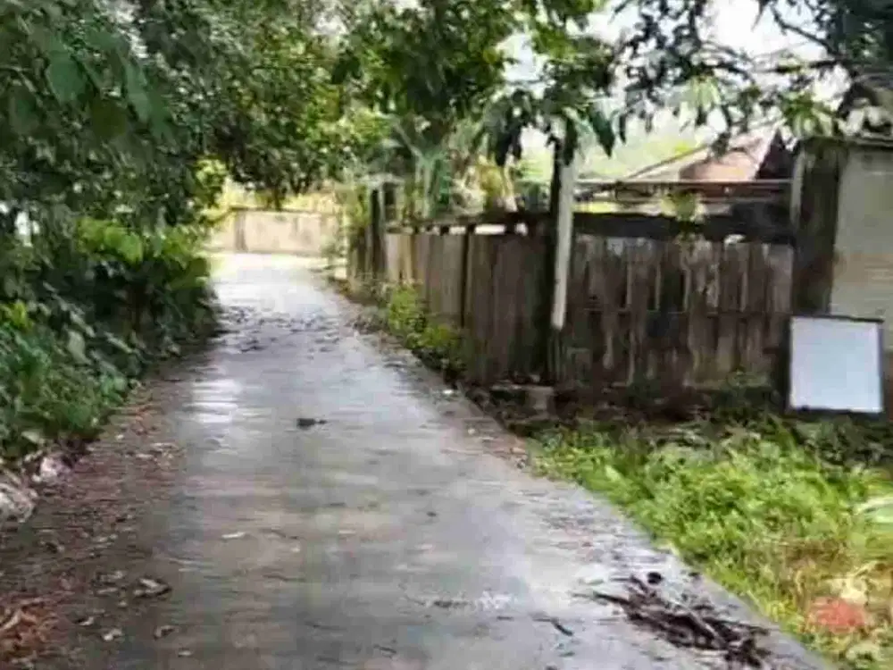 Tanah Jalan Amal Rawa Bening Tangkerang Labuai 30x20m SHM