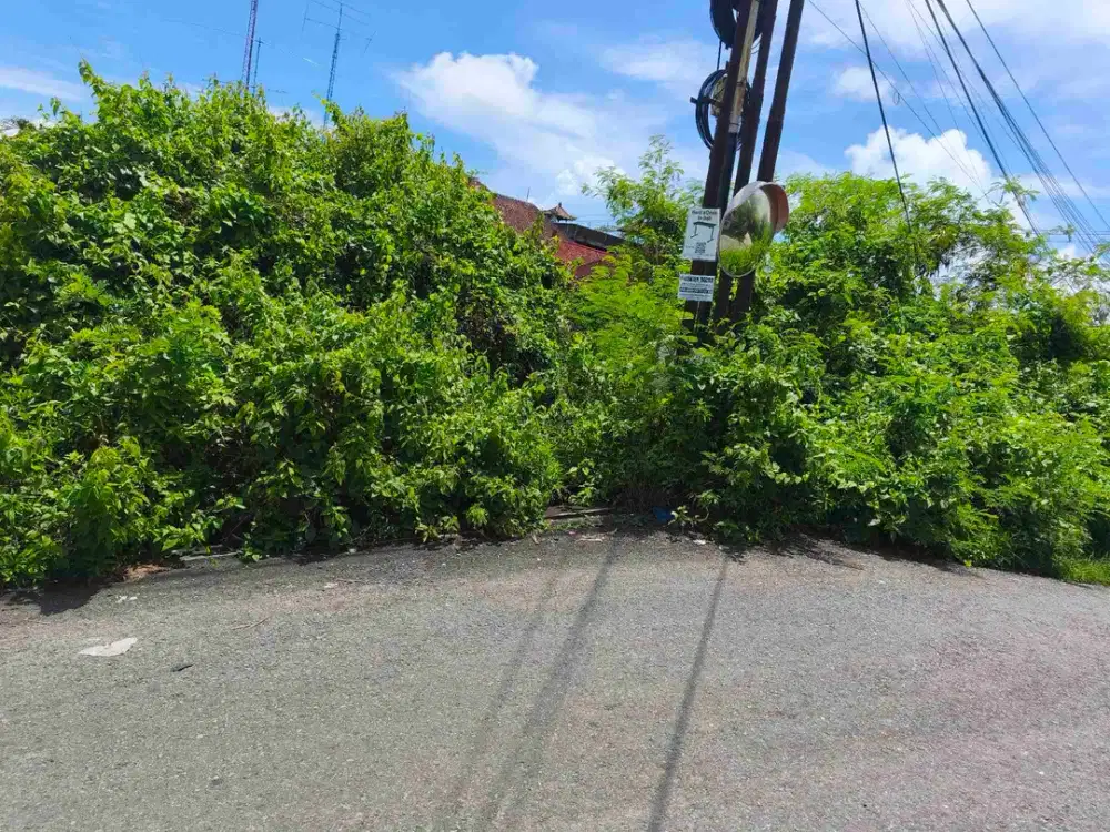 dijual tanah,3,10 are IDR 550 juta per are dekat GWK Ungasan