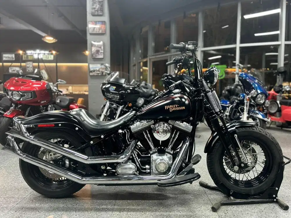 Harley davidson crossbones softail springer cross bones