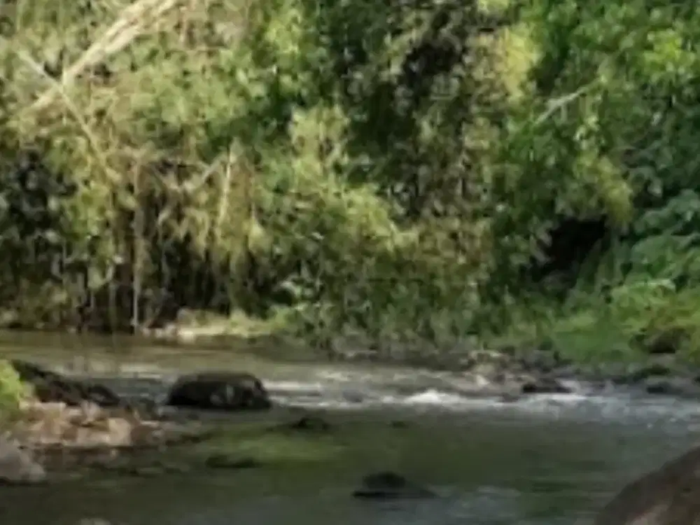 Dijual: Tanah Investasi untuk Pengembangan Vila atau Resort — Sayan, Ubud, Bali