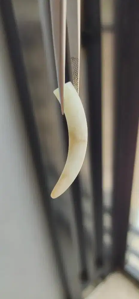 Liontin Natural JADEITE JADE Burma Type A