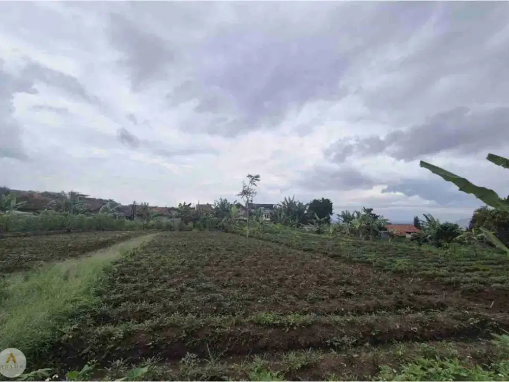 Jual Tanah di Dekat Kantor Kabupaten Bandung Barat Akses Mobil