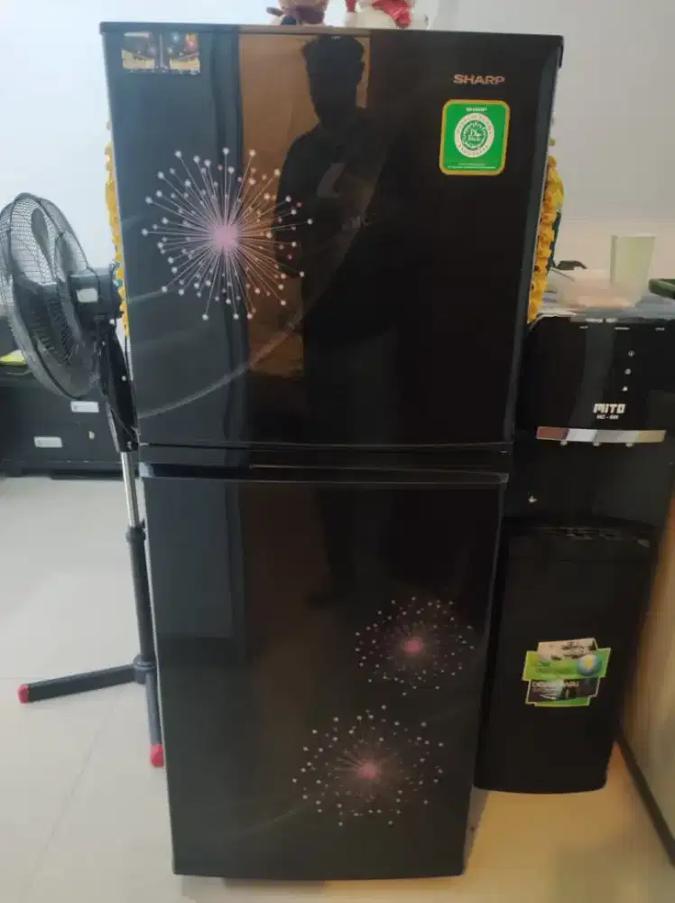 Jual Kulkas Sharp 2 pintu
