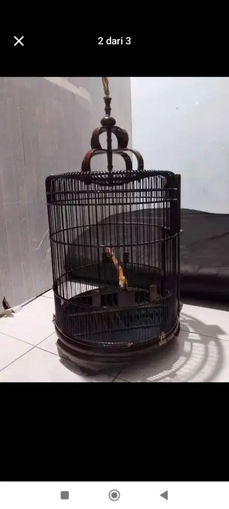 Sangkar Anis merah Bekas mulus terawat