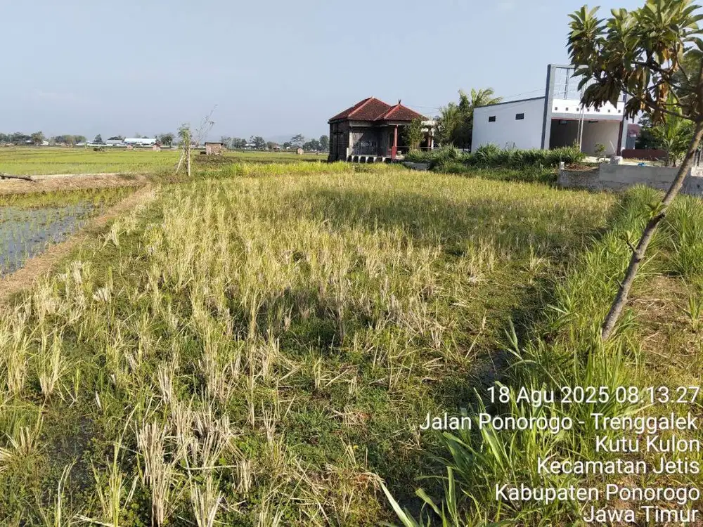 JUAL TANAH LOK STRATREGIS  PINGGIR JALAN RAYA 0 METER JETIS PONOROGO