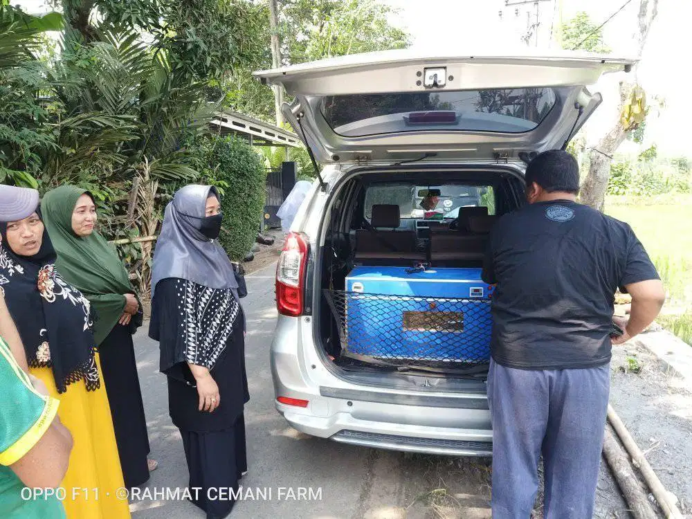 Mesin penetas telur otomatis smart incubator