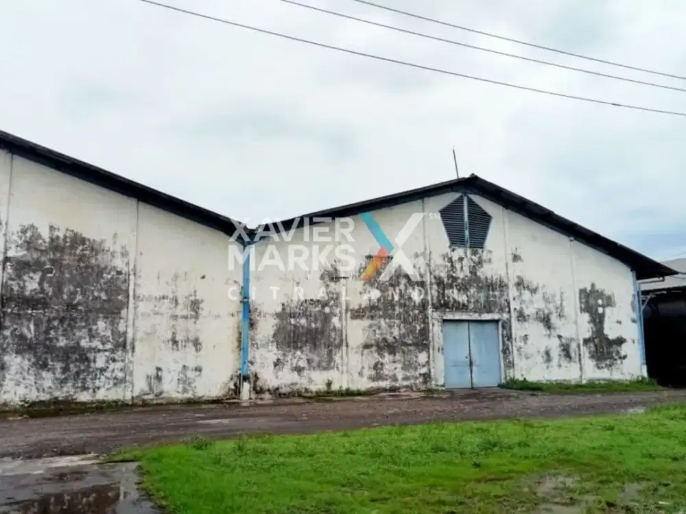 Jual Cepat Tanah Ex Pabrik Strategis di Jl. Bintoro - Gunung Gangsir Pasuruan