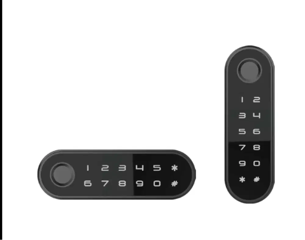 Luxora Pin Fingerprint furniture Lock (Support Public / Private Mo