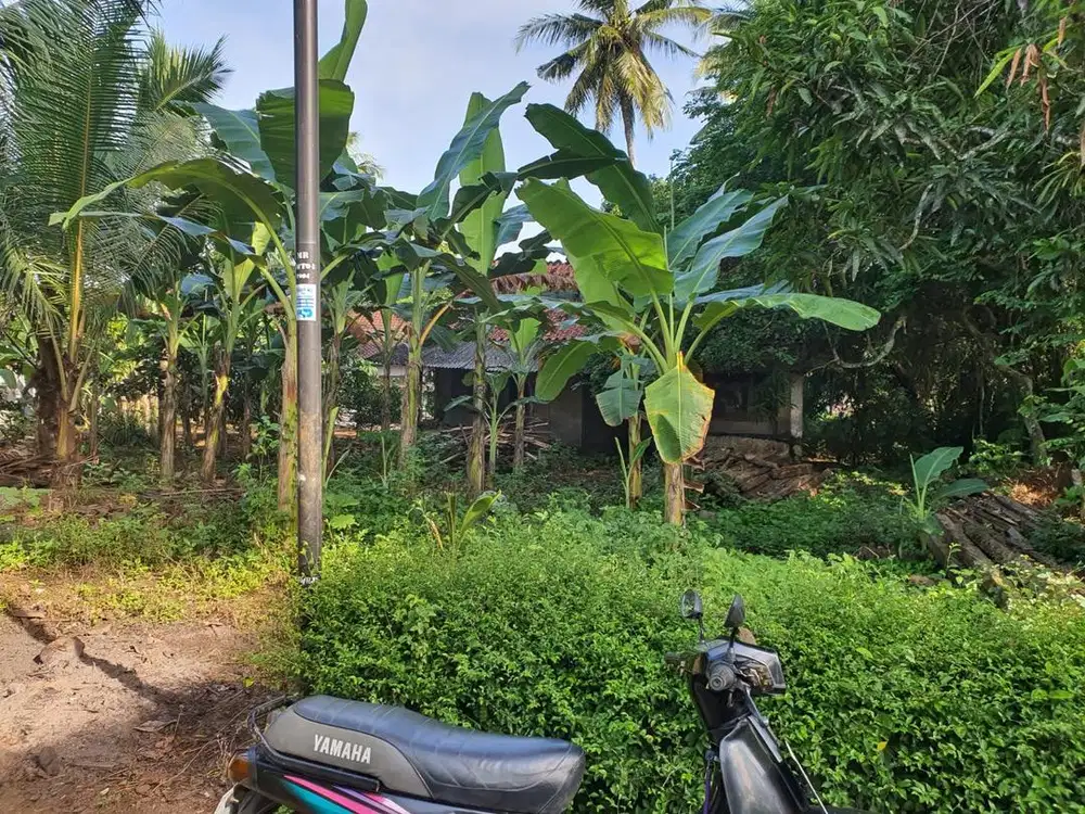 Jual Tanah Dekat Mesjid