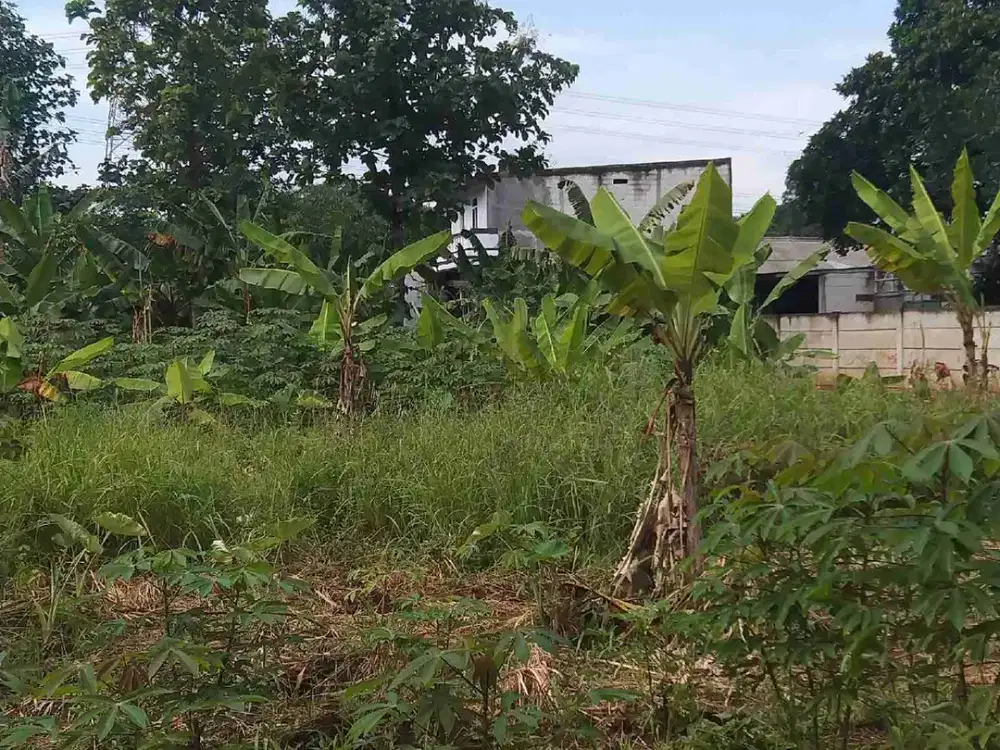 TANAH COCOK BUAT YYS SEKOLAH GUDANG DI BINONG TANGERANG
