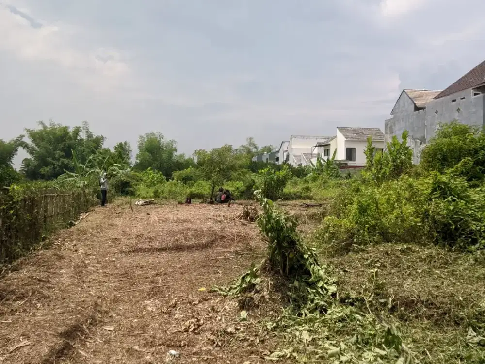 Tanah Kavling 5 Menit Terminal Landungsari Sertifikat SHM Lingkungan Asri
