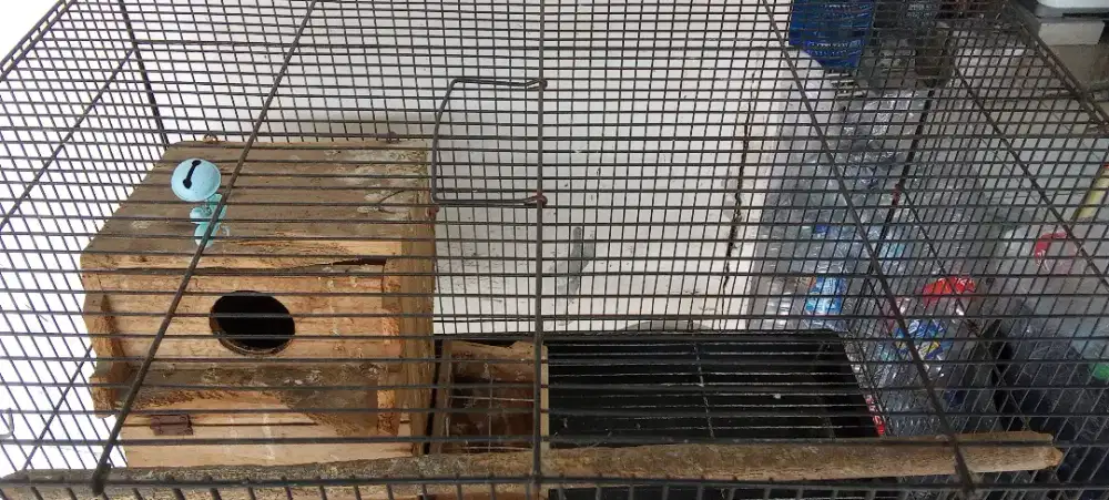 Jual kandang burung