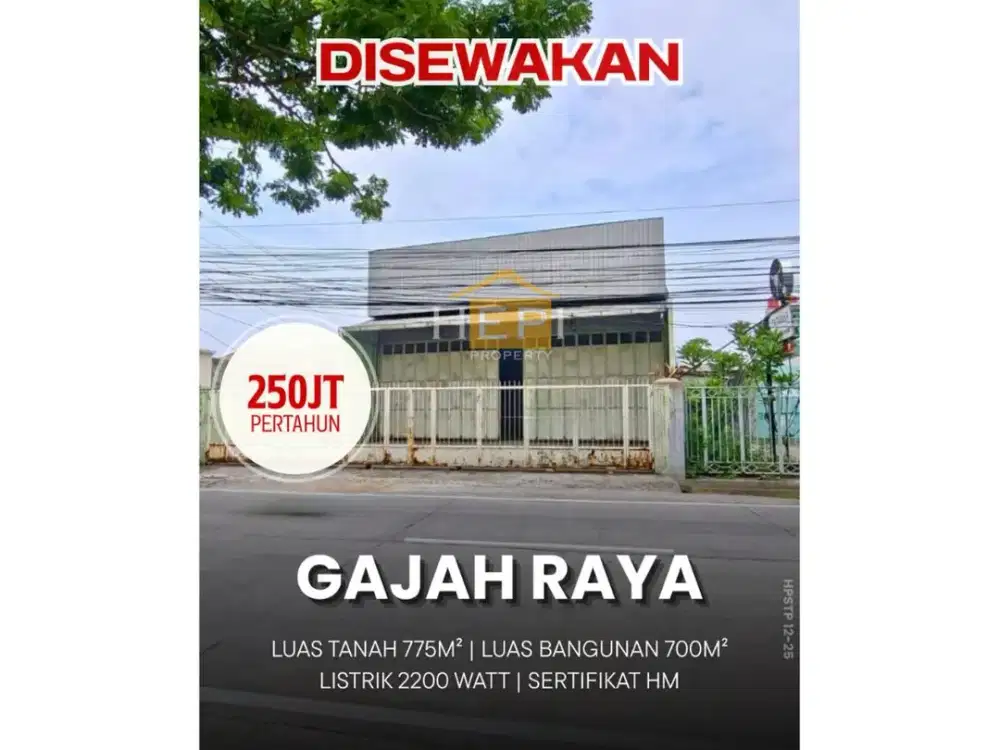 Disewakan Ruko di Gajah Raya Semarang