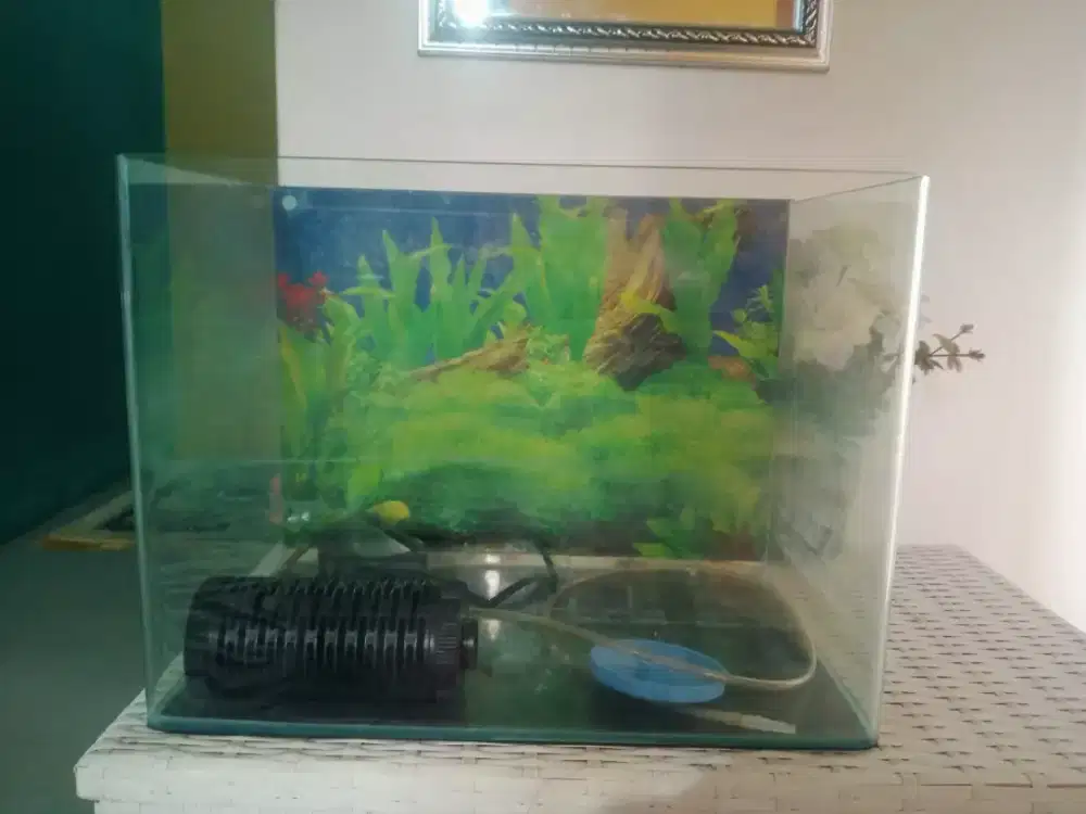 Aquarium mini tanpa sambungan depan