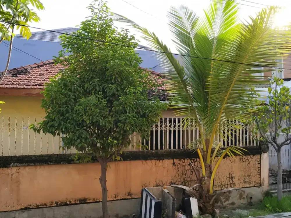 Jual Murah Butuh Cepat Hitung Tanah Mulyosari Utara