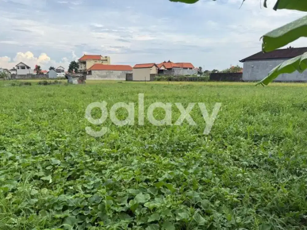 TANAH PERKEBUNAN DI SANUR KAUH DENPASAR, BALI