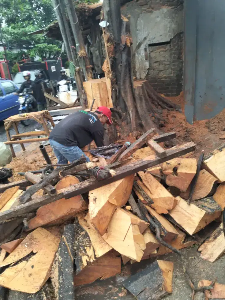 Jasa tebang pohon dan potong rumput