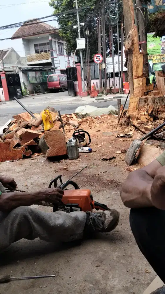 Jasa tebang pohon dan potong rumput