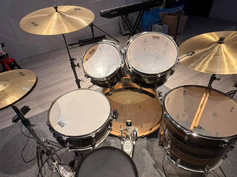 Druma tama superstar classicmaple