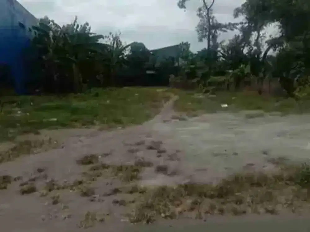 jual Tanah pekarangan bagus untuk gudang &amp; rumah hunian di Sambong dukuh Jombang