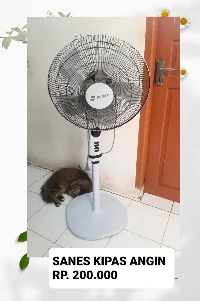 KIPAS ANGIN SANEX
