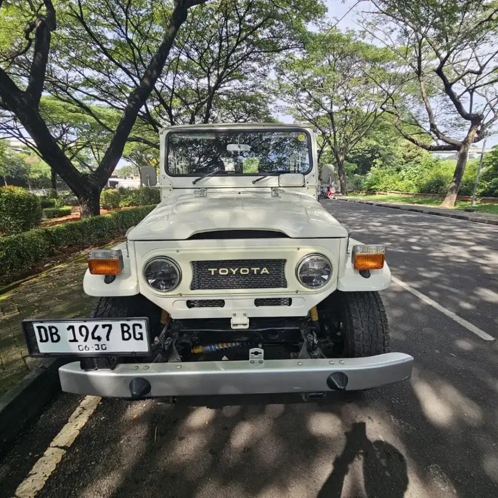 Antik istimewa sempurna Hardtop Asli kanvas 1978
