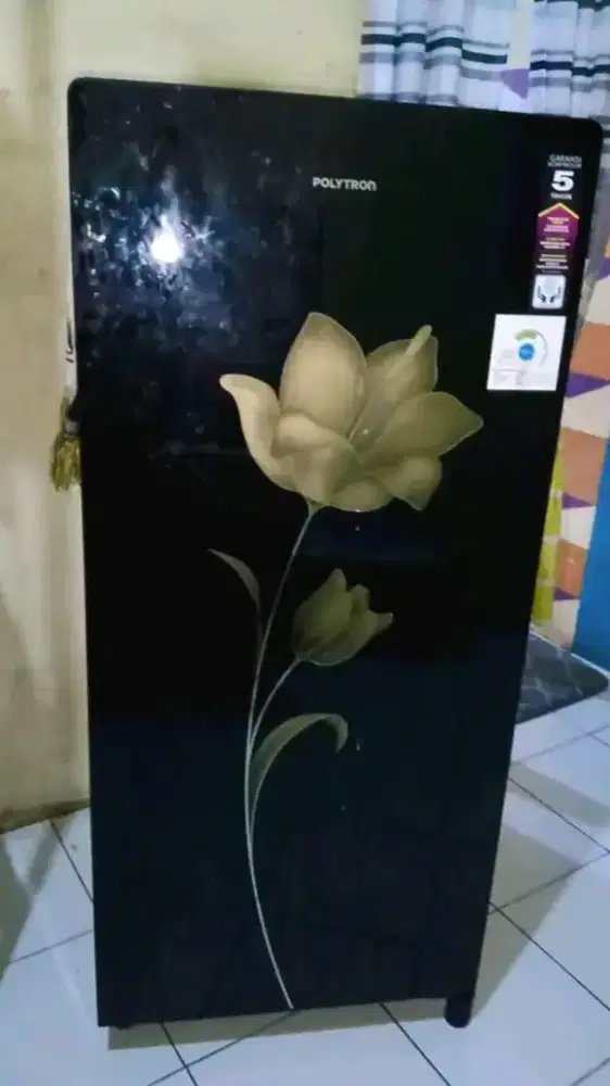 kulkas Polytron 1pintu