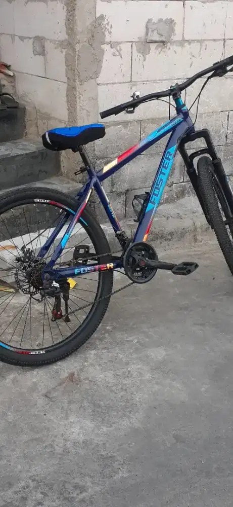 Sepeda dewasa foster