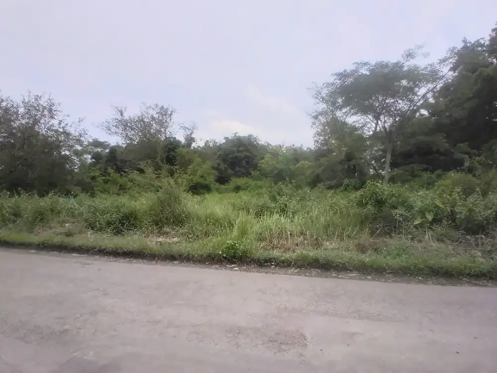 Tanah Murah Industri Strategis Cocok Untuk Gudang Di Karanganom, Klaten, Jawa Tengah