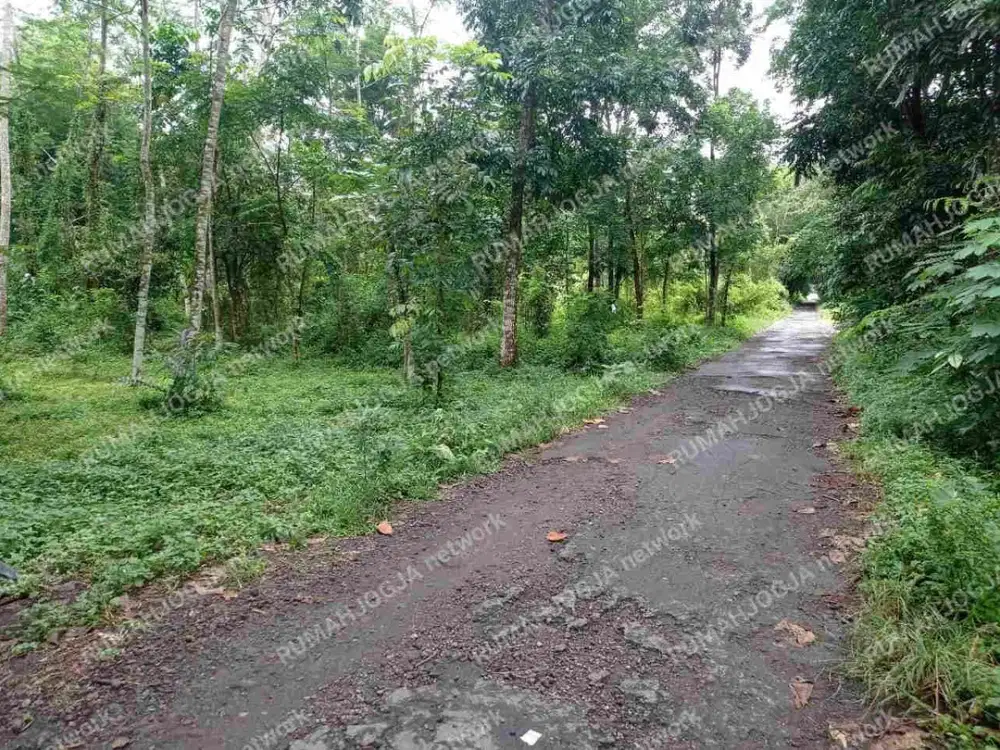 TANAH DIJUAL LINGKUNGAN KOST KAWASAN KAMPUS UII YOGYAKARTA