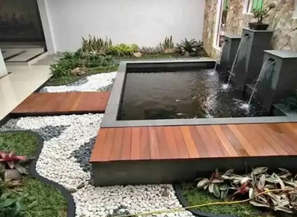 kolam minimalis ikan koi