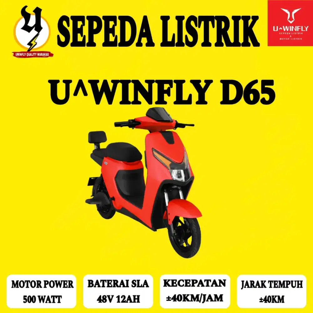 Sepeda Listrik D65
