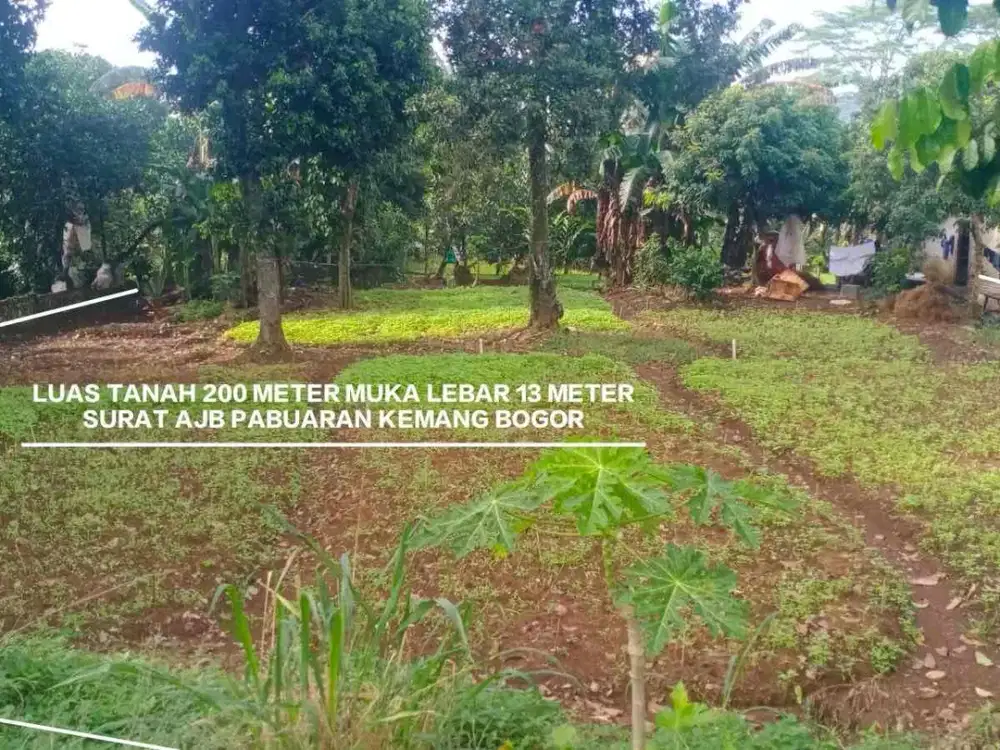 TANAH MURAH DI DESA PABUARAN KECAMATAN KEMANG HARGA MURAH DI JALAN UTAMA