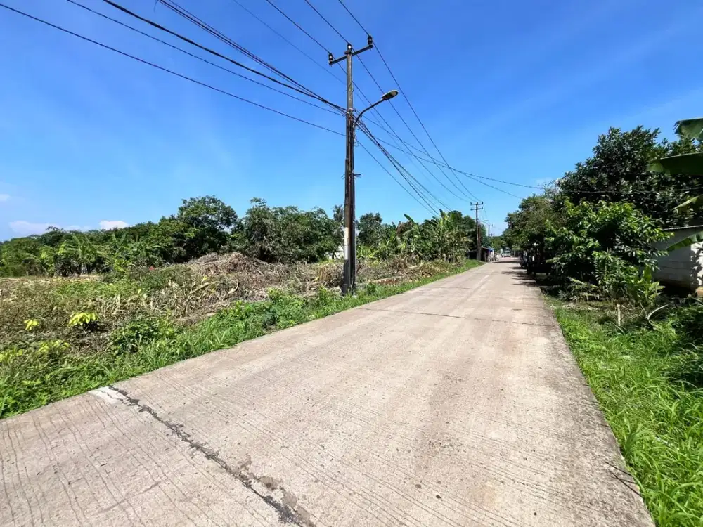 Tanah Kaving SHM Cisauk-Dekat Universitas Prasetiya Mulya