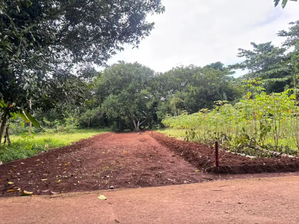 Tanah Kavling SHM, Dekat Taman Sari Forest, Lokasi Strategis