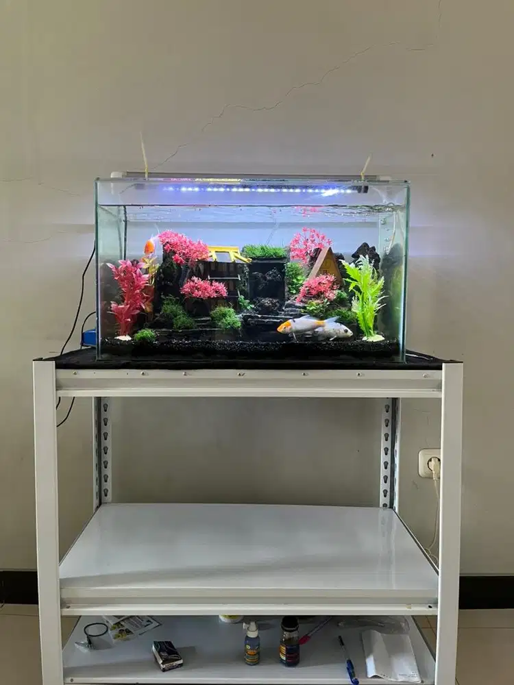 Aquarium Full set