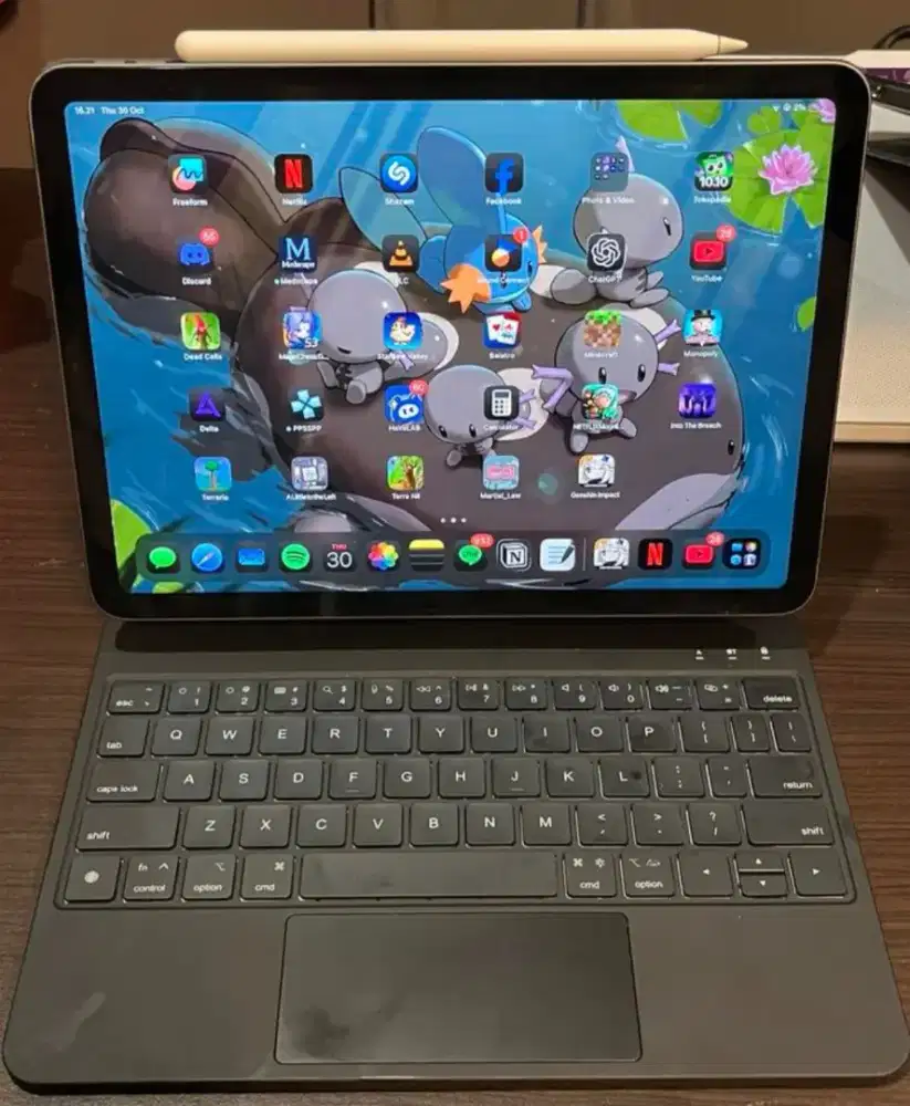 Ipad air 5 256 gb IBOX