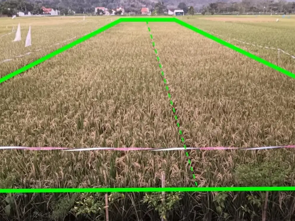 DIJUAL TANAH MURAH CANDISINGO