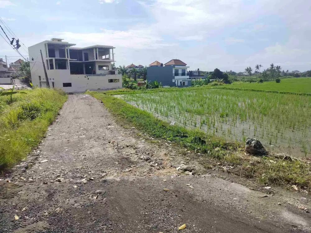 jual tanah murah munggu badung