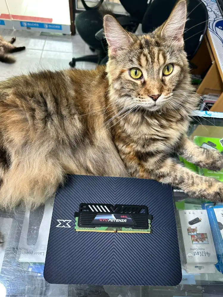 RAM PC LONGDIMM GEIL EVO POTENZA 8GB DDR4 2400MHZ HEATSINK BEKAS