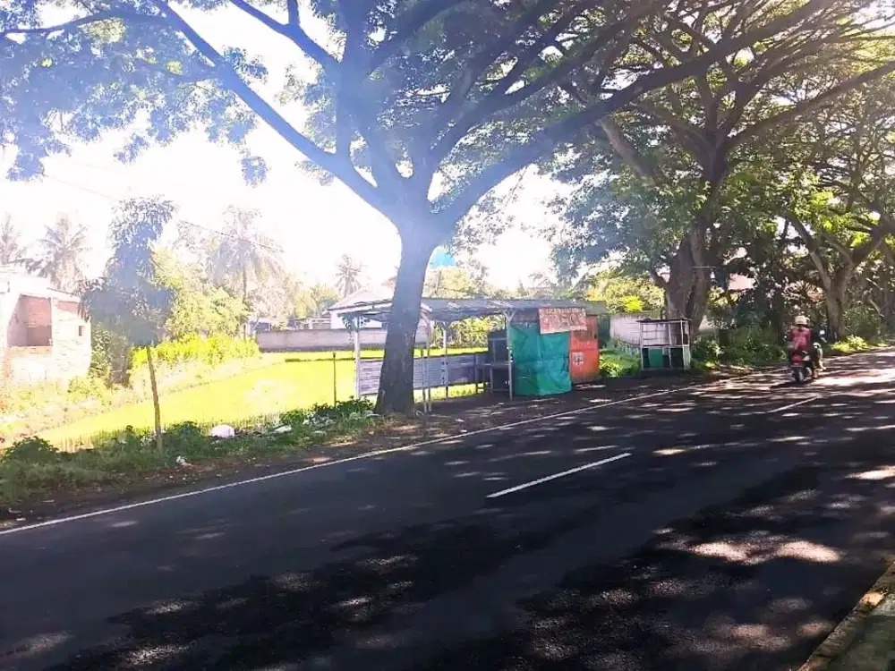 Tanah pinggir jalan Bypass Kuripan menuju Bandara Internasional