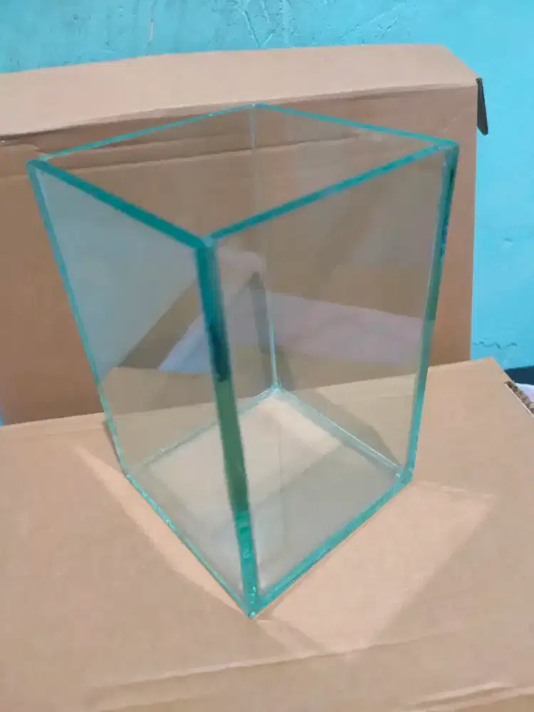 50 Soliter ikan cupang