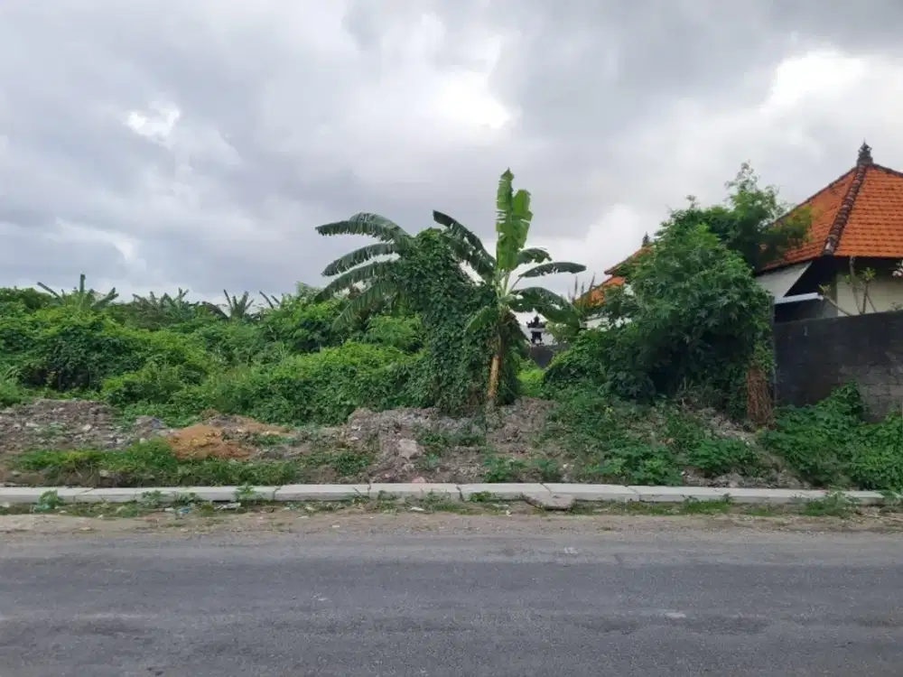 tanah bagus pinggir jalan cocok untuk usaha