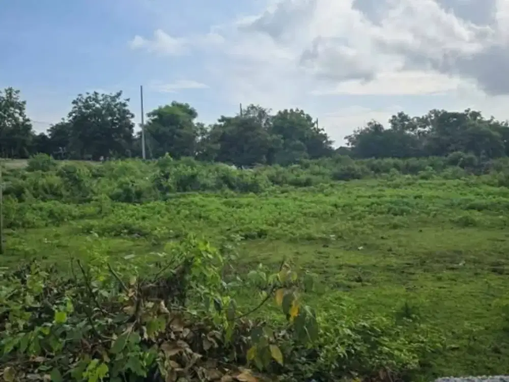 tanah bagus cocok untuk komersil