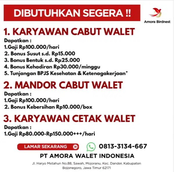 OPERATOR PRODUKSI SARANG BURUNG WALET