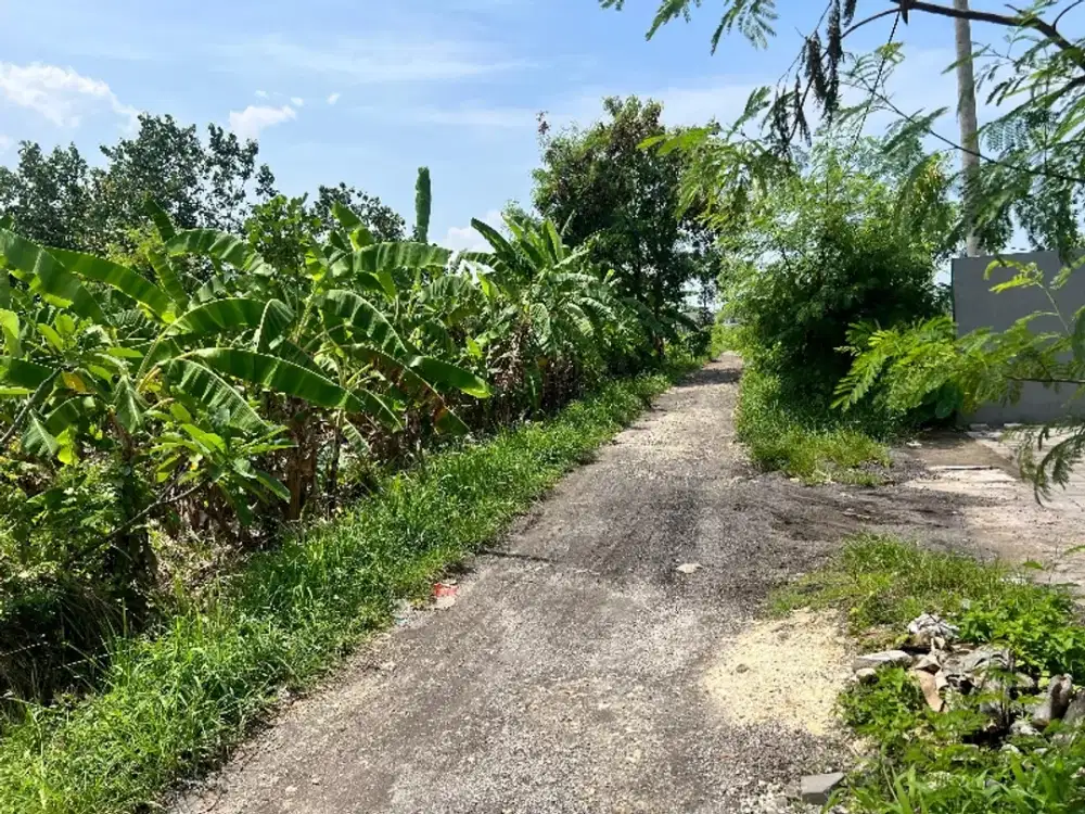 tanah bagus sangat cocok bangun villa