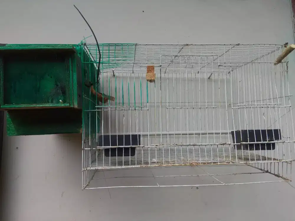 Kandang bekas lovebird