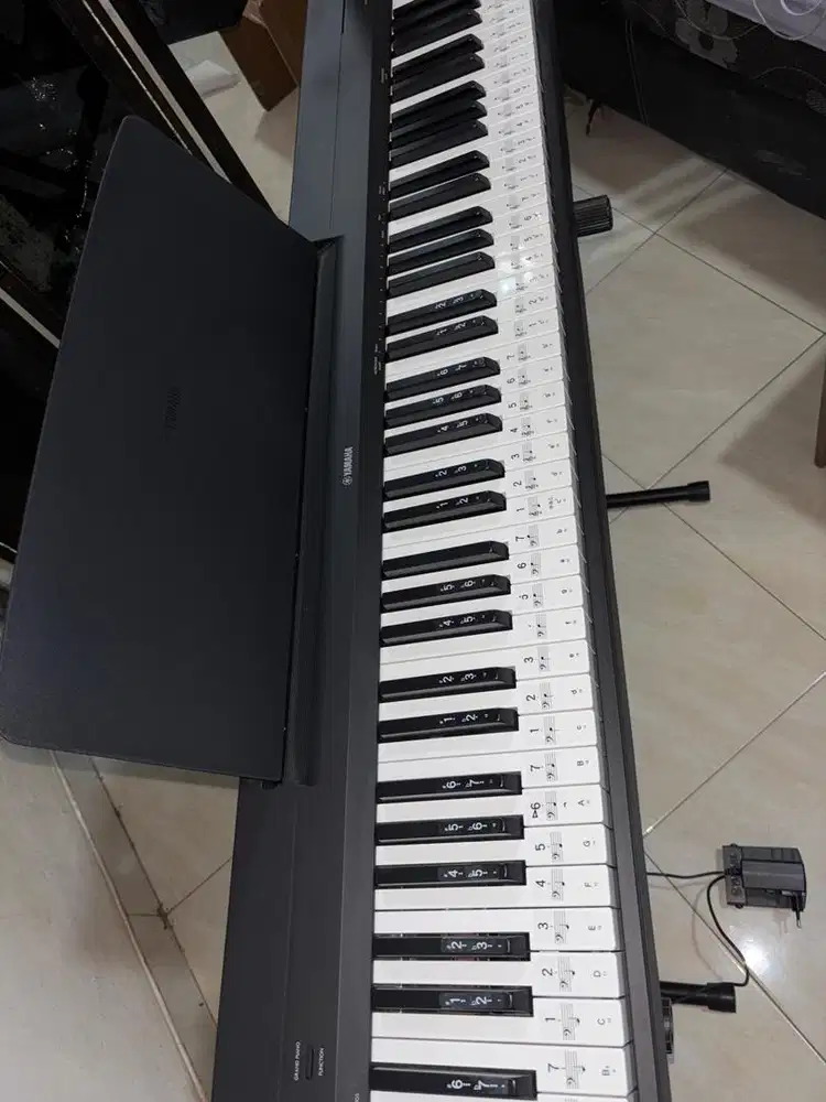 DIJUAL DIGITAL PIANO P146