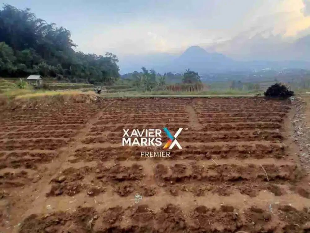 Dijual Tanah Murah Untuk Usaha Dan Investasi Di Torongrejo Kota Batu